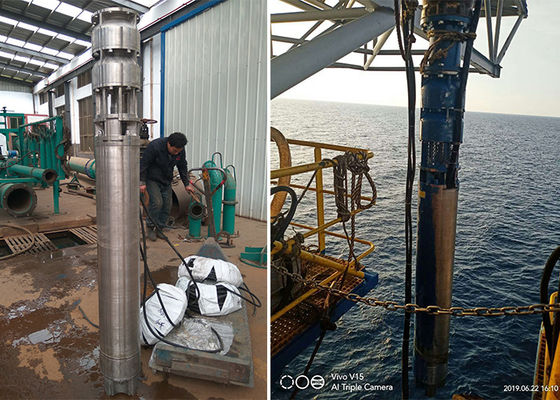 海水 深井潜水ポンプ 75kw 100hp SS316L 材料 60m ヘッド