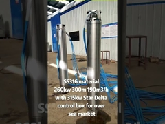 垂直多段階 12 インチ 400v 不同鋼 304 飲料水潜水ポンプ